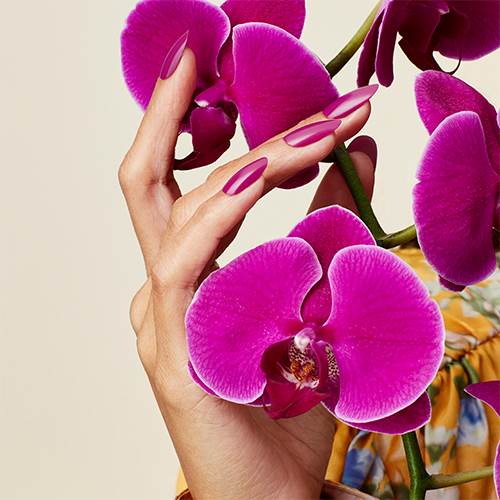 SMALTO CND VINYLUX Orchid Canopy